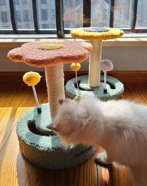 Enhance Your Cat's Playtime with the Scratching Board Claw Grinding Pet Toy