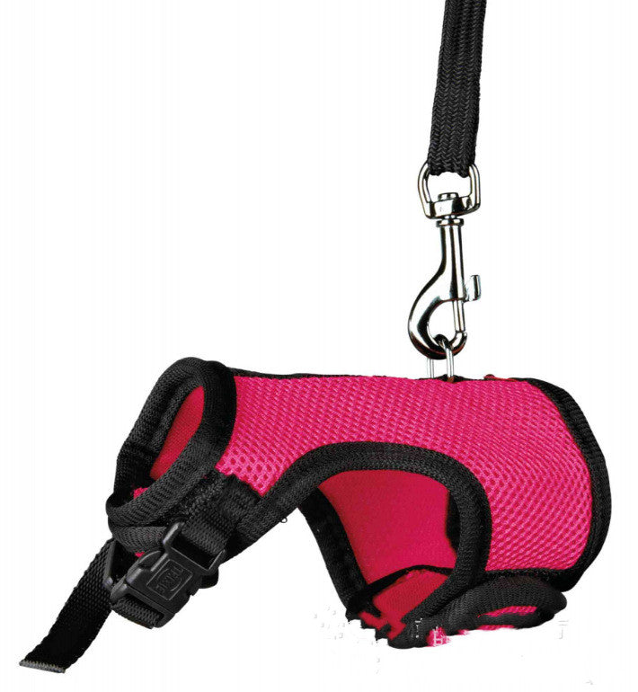 Unleash Adventure with Our Small Pet Leash!