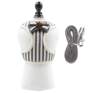 Discover the Perfect Pet Harness for Every Adventure