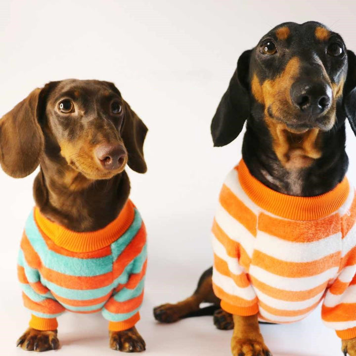 Casual Pet Sweatshirt For Everyday Wear