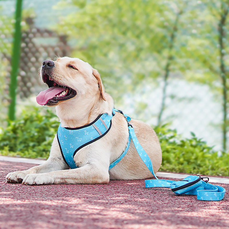 Bow Style Pet Harness Leash Adjustable Control Strap
