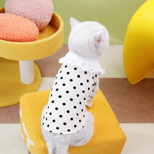 Blue Ragdoll Pet T Shirt: A Must-Have for Your Feline Friend