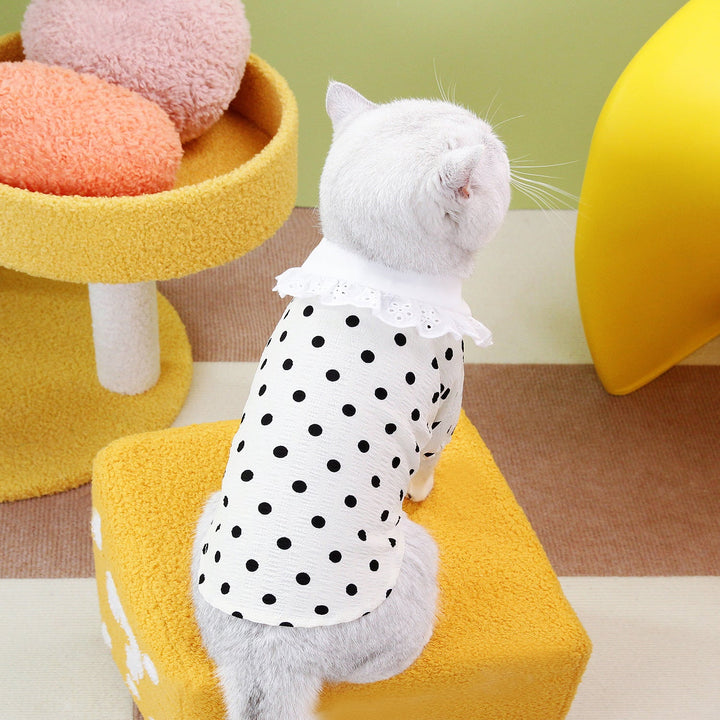 Blue Ragdoll Pet T Shirt: A Must-Have for Your Feline Friend
